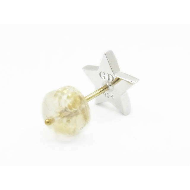 GARDEL（ガーデル） STUDS STAR PIERCE（スタッズスターピアス）