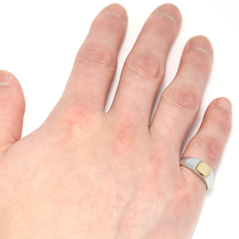 GARDEL（ガーデル） PRAYER Ring - Silver×K18Yellow Gold（プレイヤー