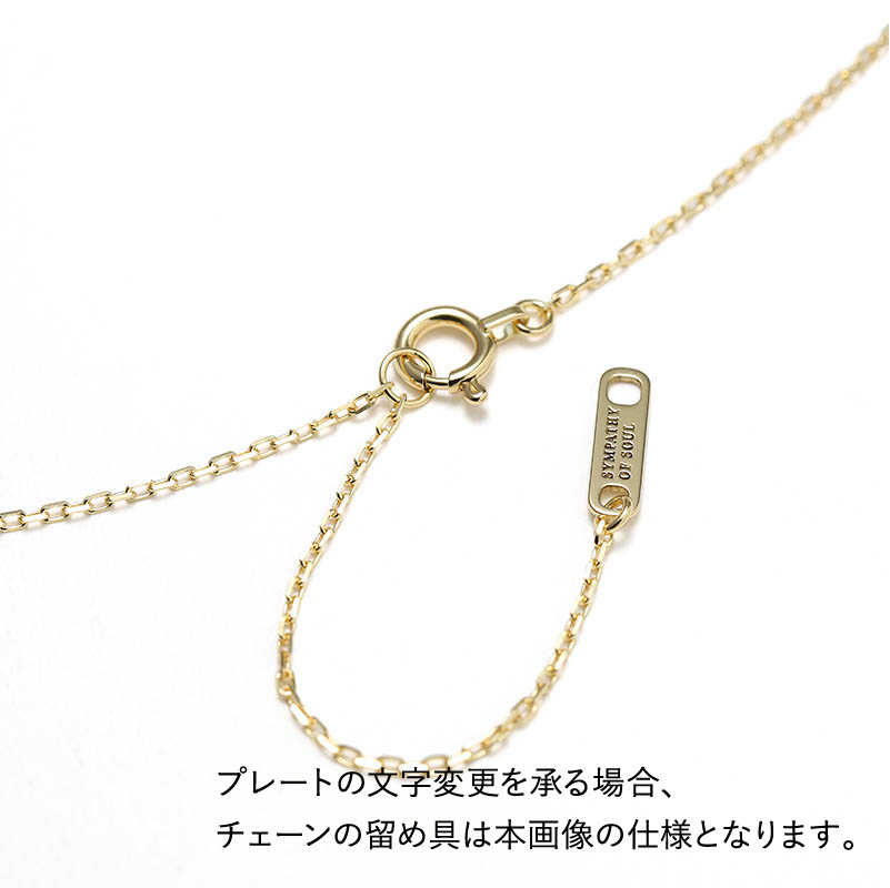 SYMPATHY OF SOUL（シンパシーオブソウル） Small Charm Necklace