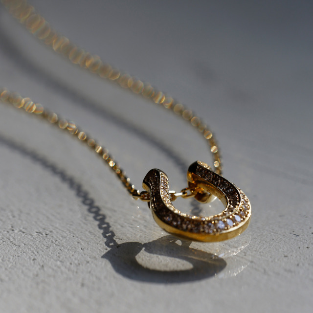 idge Horseshoe Necklace Large - K18Yellow Gold w/Diamond