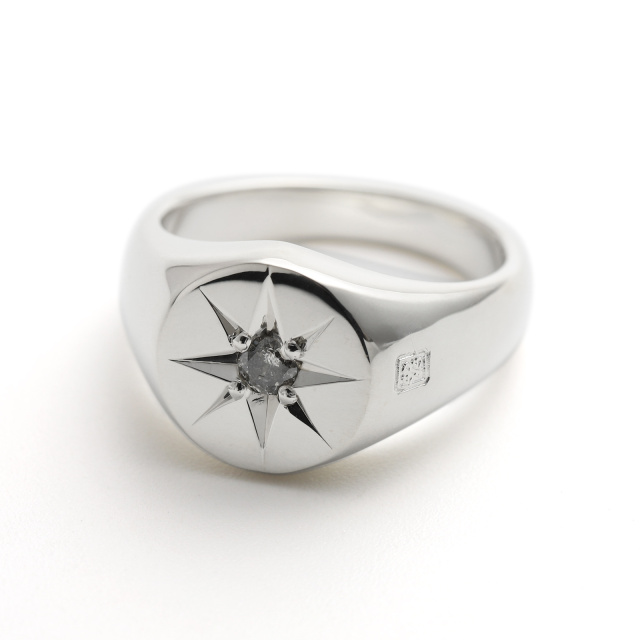 Oval Signature Ring - Silver w/Ash Diamond