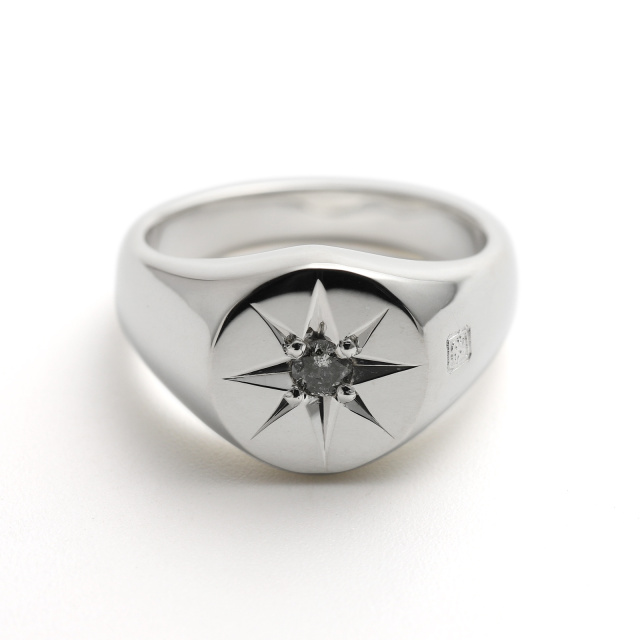 Oval Signature Ring - Silver w/Ash Diamond