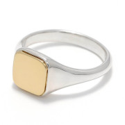 ELEMENT RING - Silver×K18Yellow Gold