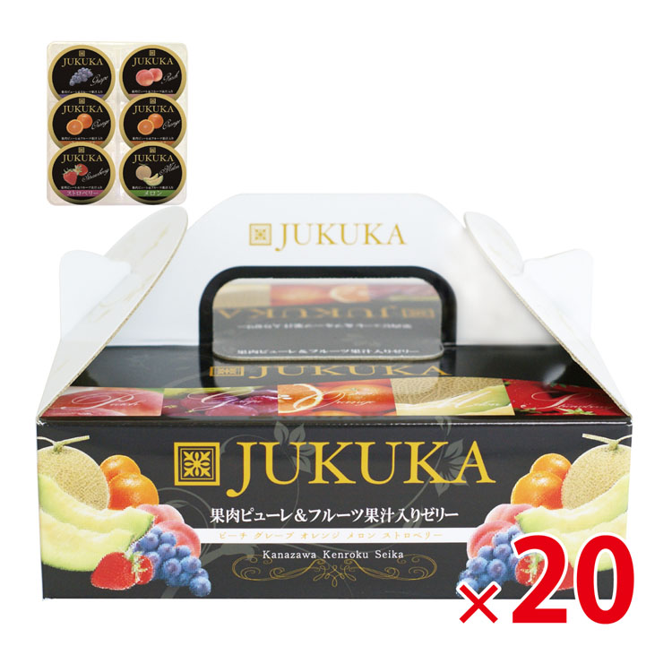 【送料無料（北海道・沖縄・離島除く）・代引き不可】金澤兼六製菓熟果ゼリーアソート6個入BOX_20個セット <dh-19410>