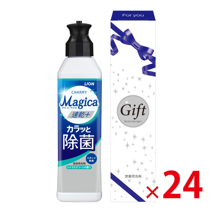【送料無料（北海道・沖縄除く）】ライオンチャーミーマジカ速乾+カラッと除菌220ml化粧箱入A_24個セット <dh-25370>