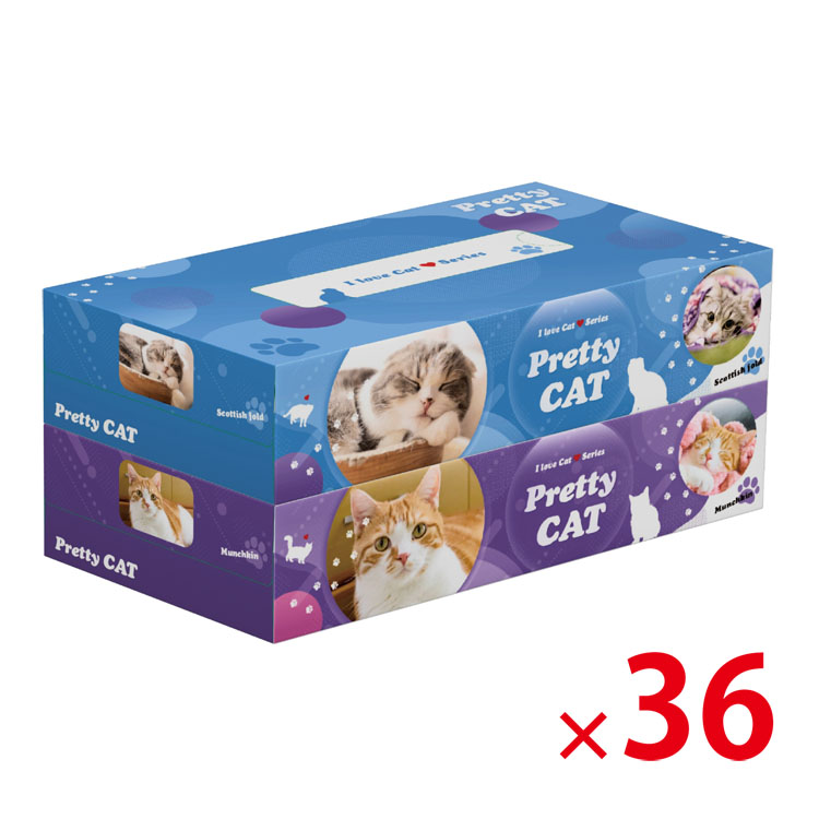 【送料無料（北海道・沖縄・離島除く）・代引き不可】プリティキャットBOXティッシュ130W2P_36個セット <dh-25960>