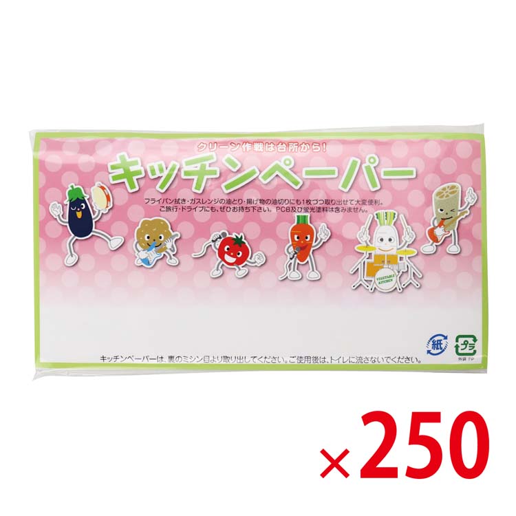 【送料無料（北海道・沖縄・離島除く）】キッチンペーパータオル10P_250個セット <dh-26411>