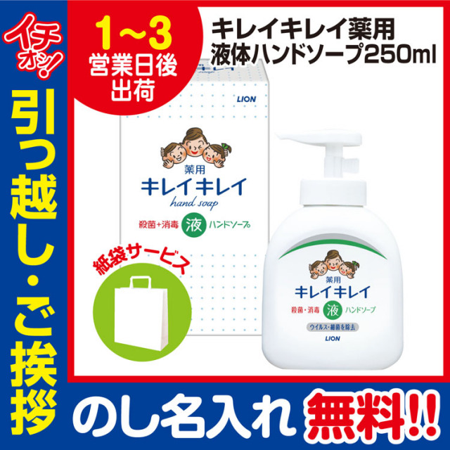 [引っ越し 挨拶 ギフト 粗品 品物]ライオンキレイキレイ液体ハンドソープ本体250ml（のし+手提げ紙袋付）[御礼 工事 挨拶まわり 初盆 お返し] <dh-11568-1>