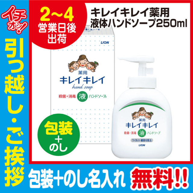 [引っ越し 挨拶 ギフト 粗品 品物]ライオンキレイキレイ液体ハンドソープ本体250ml（包装+のし）[御礼 工事 挨拶まわり 初盆 お返し] <dh-11568-3>