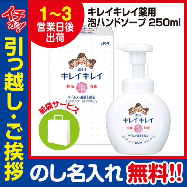 [引っ越し 挨拶 ギフト 粗品 品物]ライオンキレイキレイ泡ハンドソープ本体250ml（のし+手提げ紙袋付）[御礼 工事 挨拶まわり 初盆 お返し] <dh-24748-1>