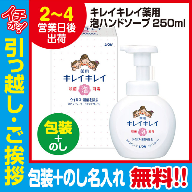 [引っ越し 挨拶 ギフト 粗品 品物]ライオンキレイキレイ泡ハンドソープ本体250ml（包装+のし）[御礼 工事 挨拶まわり 初盆 お返し] <dh-24748-3>