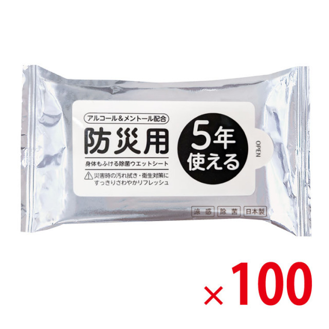 【送料無料（北海道・沖縄除く）】5年使える 除菌ウェットシート ハンディタイプ 10枚入 携帯用 100個セット<dh-27270>