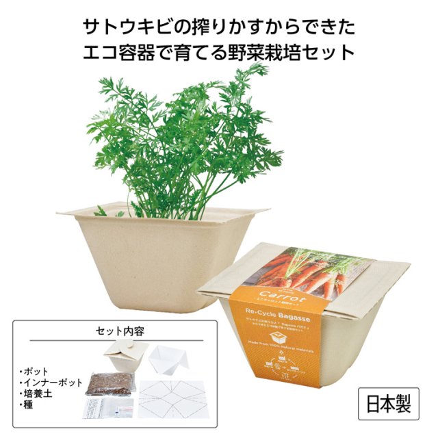 【送料無料（北海道・沖縄・離島除く）・代引き不可】バガスグリーン　ミニキャロット_72個セット_1個あたり375円（税抜） <sp-35643MI>