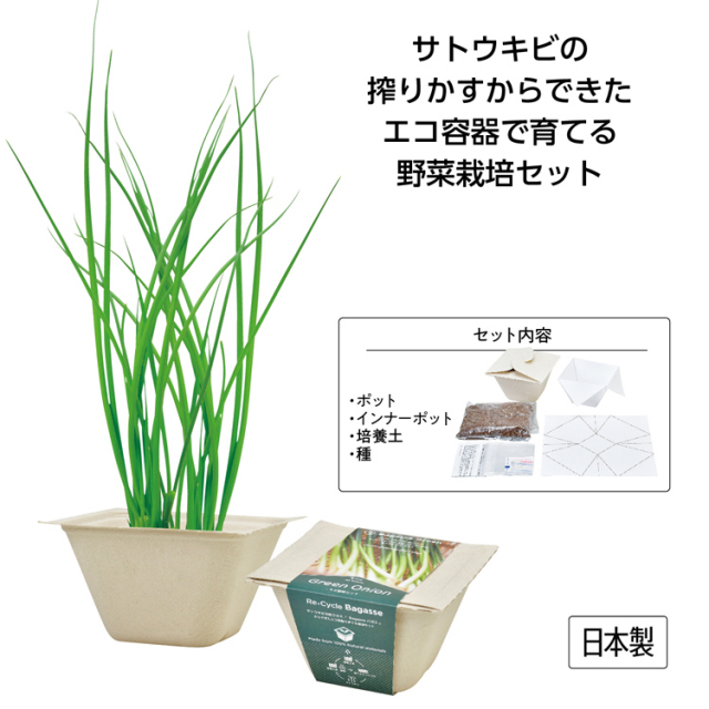 【送料無料（北海道・沖縄・離島除く）・代引き不可】バガスグリーン　ネギ_72個セット_1個あたり375円（税抜） <sp-35643NE>
