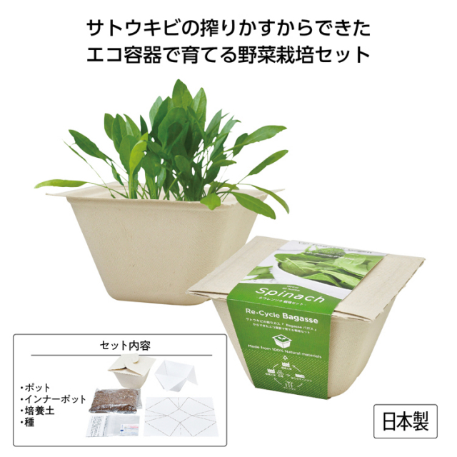 【送料無料（北海道・沖縄・離島除く）・代引き不可】バガスグリーン　サラダホウレンソウ_72個セット_1個あたり375円（税抜） <sp-35643SA>