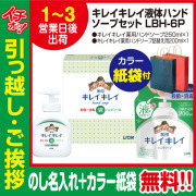 [引っ越し 挨拶 ギフト 粗品 品物]ライオンキレイキレイギフト本体詰替えLBH-6P（のし+カラー手提げ紙袋付）[御礼 工事 挨拶まわり 初盆 お返し] <dh-11838-2>