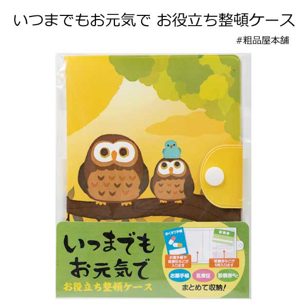 【ご注文受付数１２０個以上】いつまでもお元気で お役立ち整頓ケース