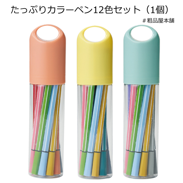 カラーペン１２色セット