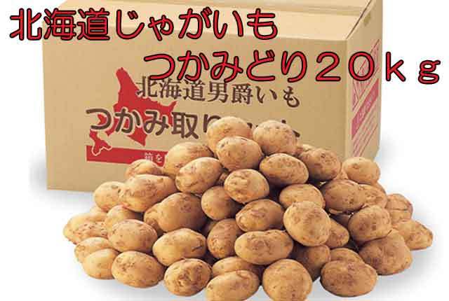 粗品・景品・プチギフト・ノベルティ・記念品の粗品屋本舗　北海道じゃがいもつかみどり２０ｋｇ