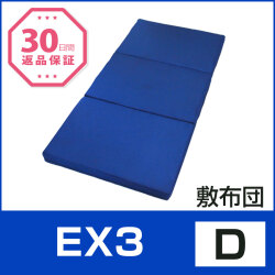 EX3 D 第一画像