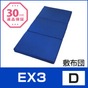 EX3 D 第一画像