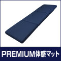 PREMIUM 体感マット 第一画像