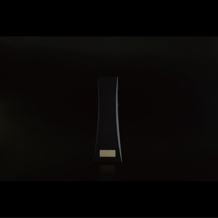 DS Audio イオナイザー ION001