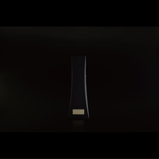 DS Audio イオナイザー ION001