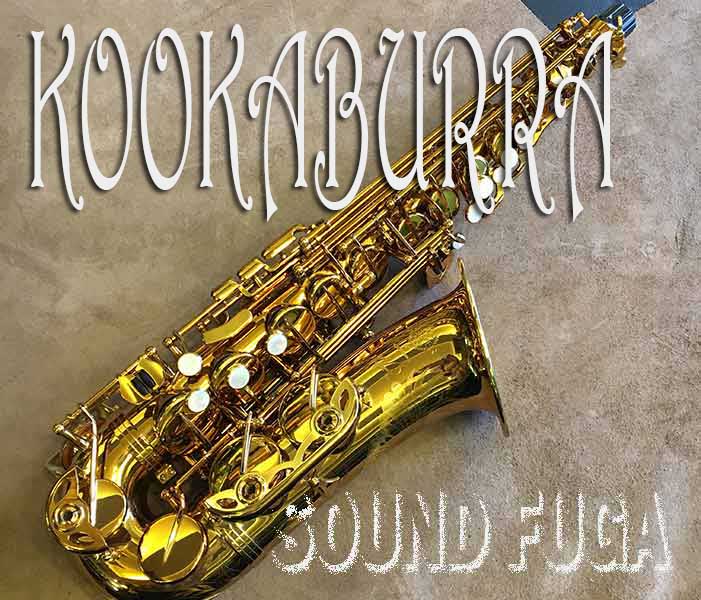 ★祝・令和元年セール★H SELMER Reference Alto　バードシリーズ　 KOOKABURRA Collector's edition　美品
