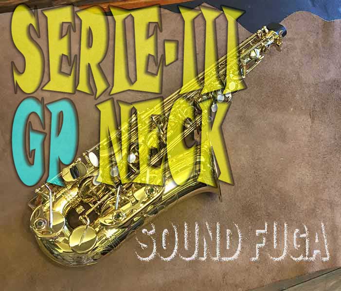 H.SELMER SERIE-III　GPTone  彫刻付き金メッキネック アルトサックス