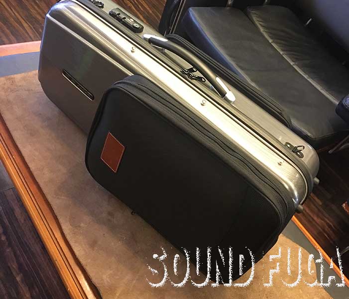 WOODSTONE GL CASE　ALTO　ソプラノケース