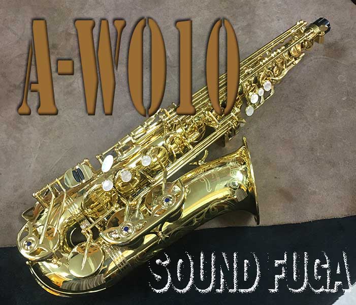 ★Spring Sale★　YANAGISAWA A-WO10　ブラス製上位モデル　アルトサックス　美品