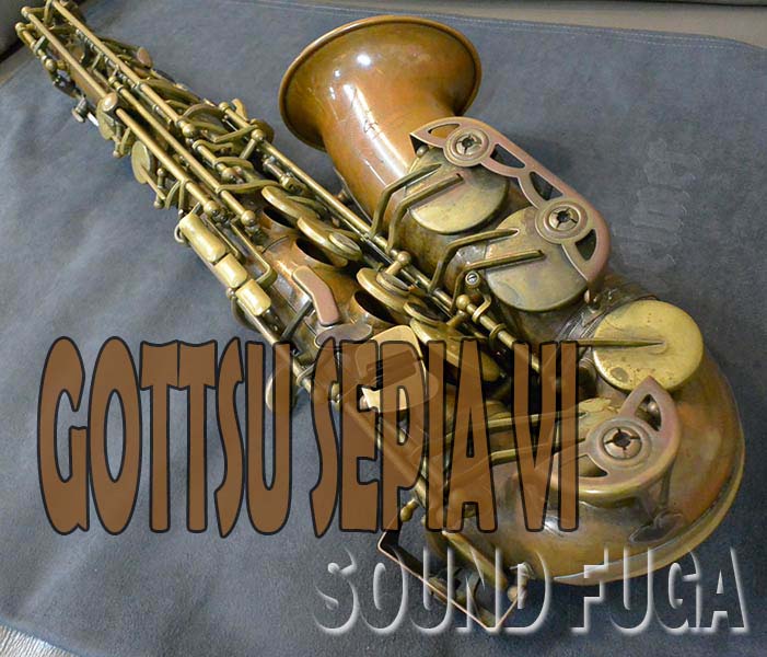 ★セール価格★ＧＯＴＴＳＵ　ＳＥＰＩＡ ＶＩ  アルトサックス  アンラッカー