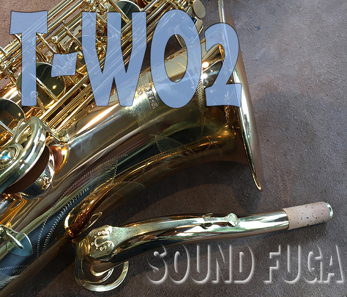 YANAGISAWA T-WO2　TENOER テナーサックス