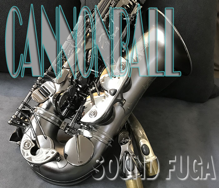 CANNONBALL A5-BiceB　Raven アルトサックス　美品