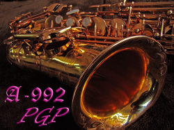YANAGISAWA A-992PGP　美品　全タンポ交換済み