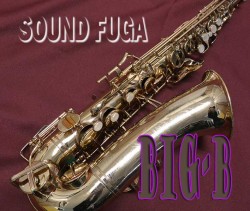 BUESCHER ARISTOCRAT BIG-B　ALTO アルトサックス　大阪店委託品