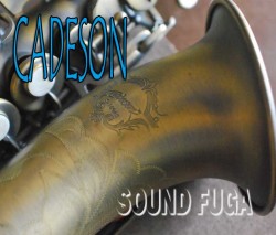 CADESON　S-109AS　カーブドソプラノサックス　美品