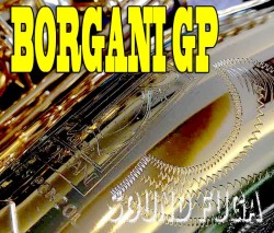 ★祝・令和元年セール★BORGANI GP TENOR 金メッキ　テナーサックス