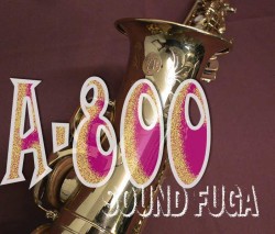 YANAGISAWA A-800　ELIMONA エリモナ初期　アルトサックス 委託品