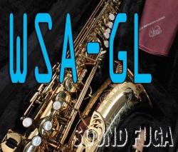 Wood Stone  NewVintage  WSA-GL　アルトサックス 新品同様委託品