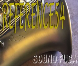 H.SELMER REFERENCE 54　アンティークブラッシュドサテン　テナー