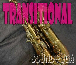 C.G.CONN　TRANSITIONAL 25万番　テナーサックス　リラッカー　委託品　
