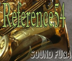 H.SELMER REFERENCE54 アルトサックス　７５万番 宮本大路氏選定品　美品