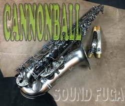 CANNONBALL A5-BiceB　Raven アルトサックス　美品
