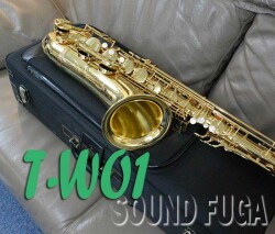 YANAGISAWA T-WO1 TENOR テナーサックス　美品
