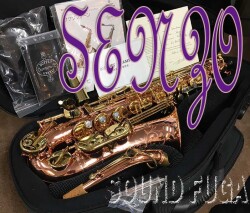 B.CRAMPON SENZO　センゾ　選定品　アルトサックス　極上美品