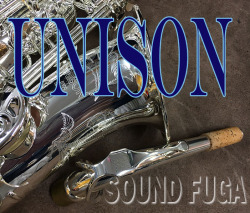 UNISON　AS-300IIS 銀メッキ アルトサックス　美品