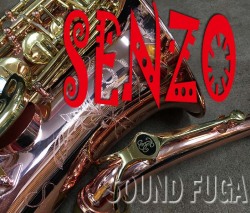 ★決算セール★　B.CRAMPON SENZO　センゾ　選定品　アルトサックス