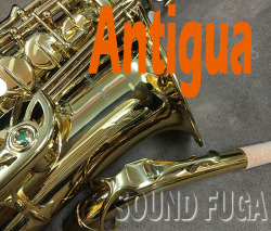 ★Spring Sale★　ANTIGUA　GL　ALTO　アルトサックス　美品